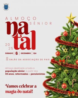 Almo&ccedil;o de Natal S&eacute;nior